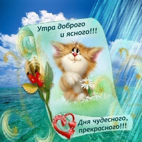 Доброго солнечного утра и удачного дня