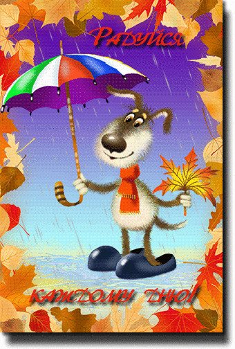 Хорошего настроения в дождливую погоду