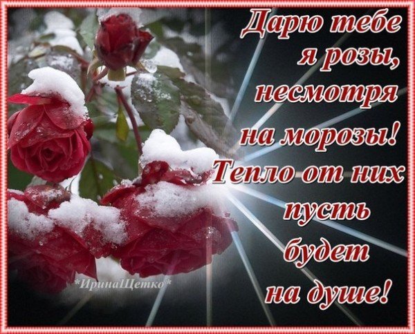 Зимние цветы с пожеланием