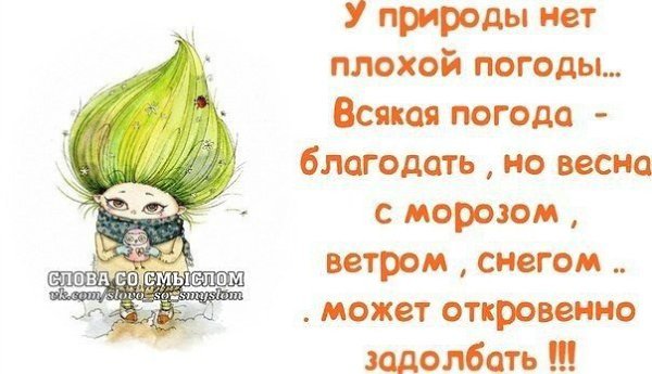 У природы нет плохой погоды цитаты