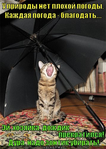 Нет плохой погоды