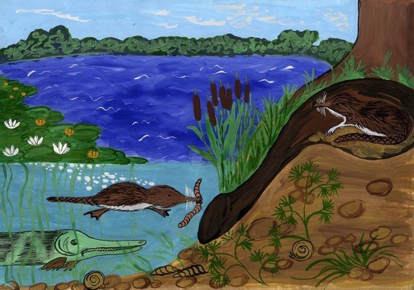 Мир водоема