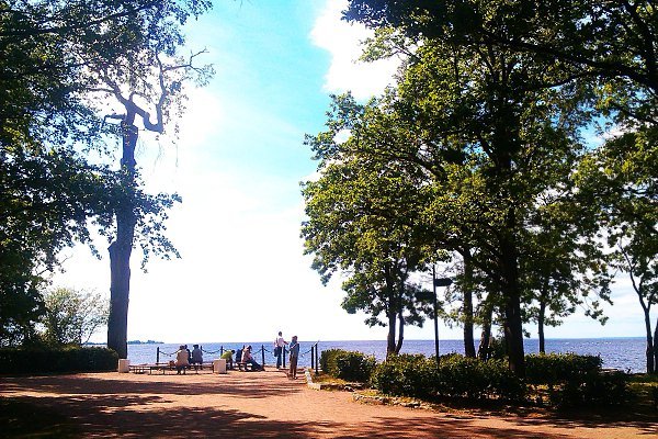 Парк Дубки Санкт-Петербург Сестрорецк