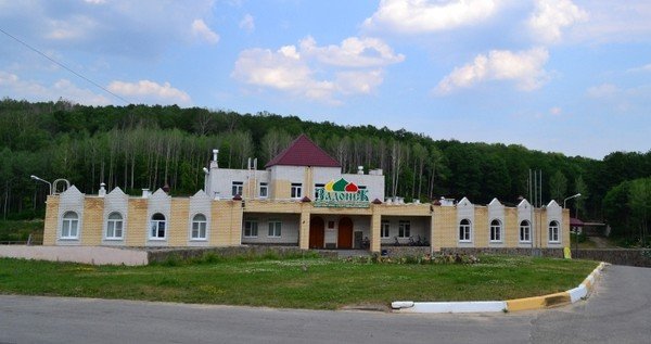 Форест парк Задонск лагерь