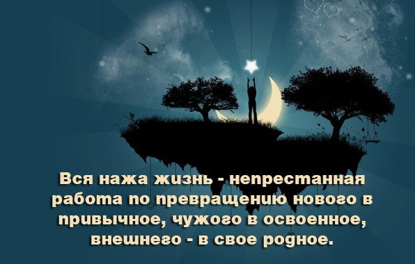 Вся жизнь на работе