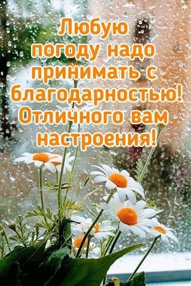 Дождь ли снег любое время года надо благодарно принимать