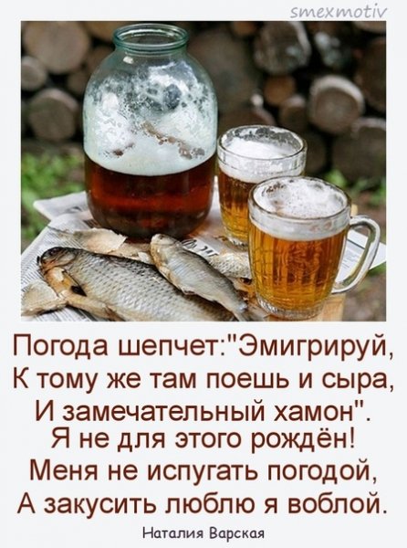 Погода шепчет займи и выпей