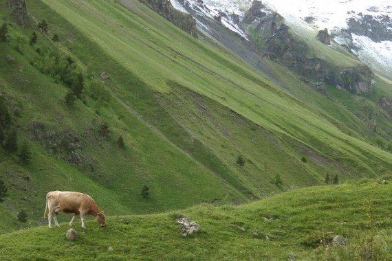 Национальный парк "Приэльбрусье" (Кабардино-Балкария)