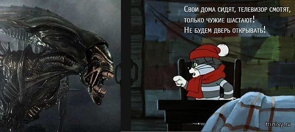 В такую погоду свои дома сидят