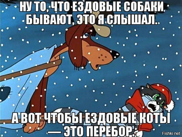 Простоквашино ездовые академики