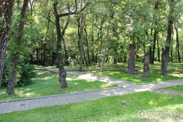 Парк Динамо Хабаровск тропинки