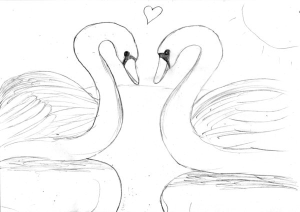 Рисунки лебедей для срисовки лёгкие и красивые