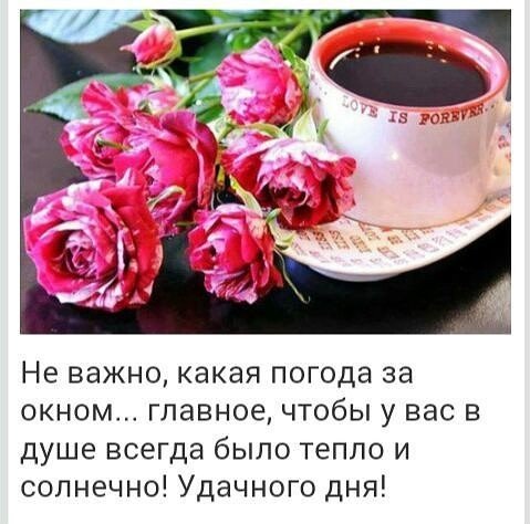 Несмотря на погоду доброе утро и хорошего дня