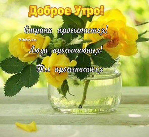 Картинки доброе утро и хорошей погоды с надписями и пожеланиями (52 фото)