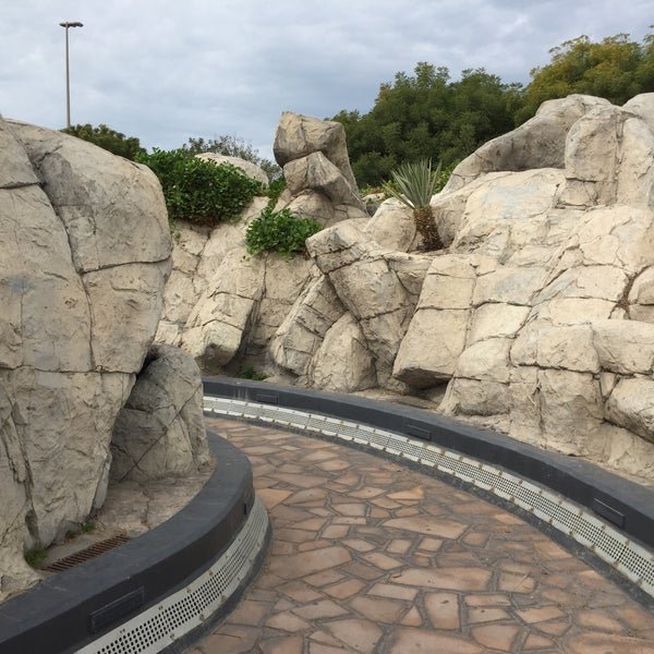 Рязань фонтан медведи