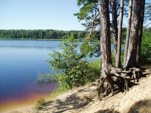 Озеро Свято Навашинский район