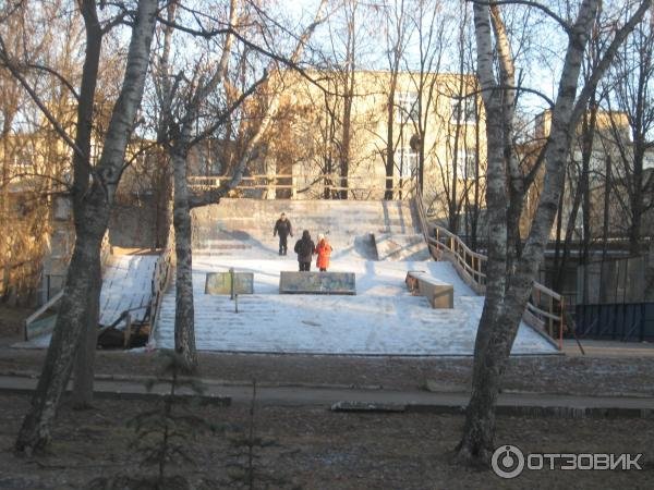 Ясень Ульяновск парк Матросова