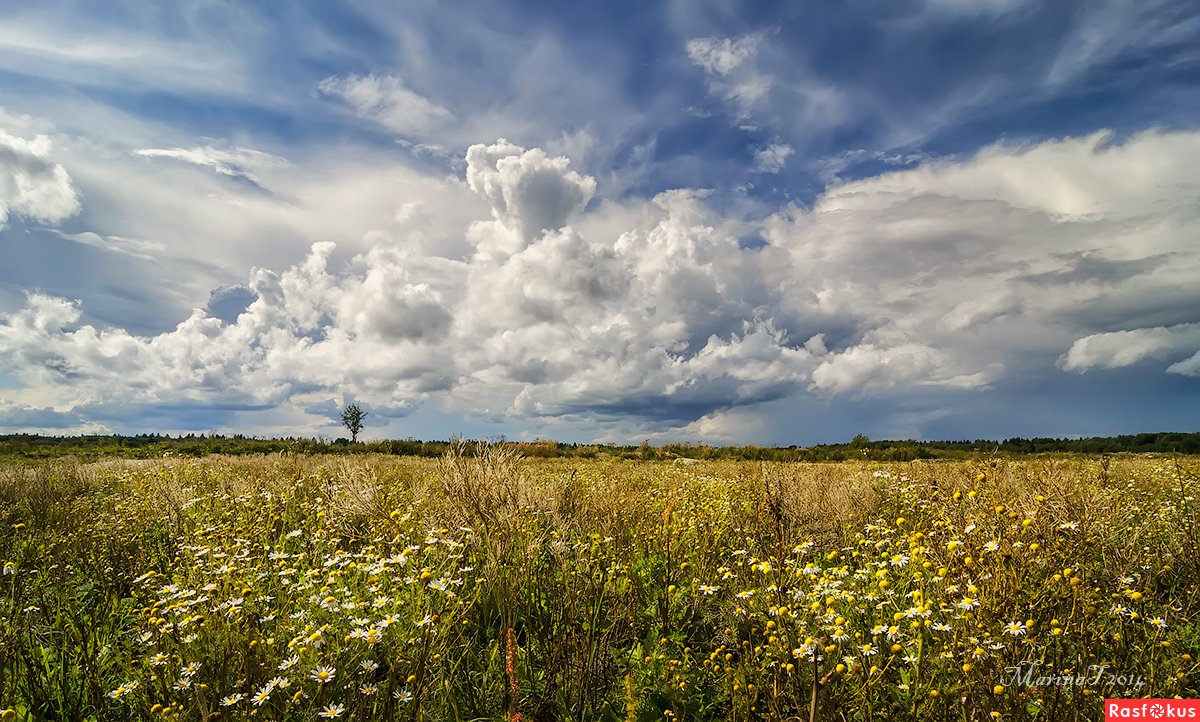 Погода золотом поле на 10 дней. Август. Август фото. Башкирия климат в августе. Август в Кировской области.