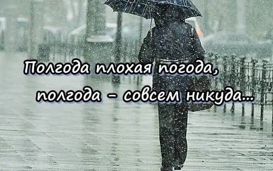 Полгода плохая погода