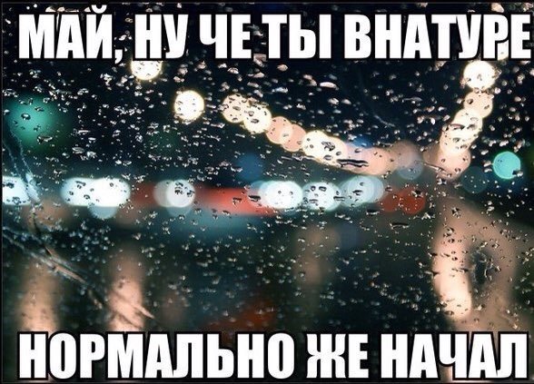 Майский дождь приколы