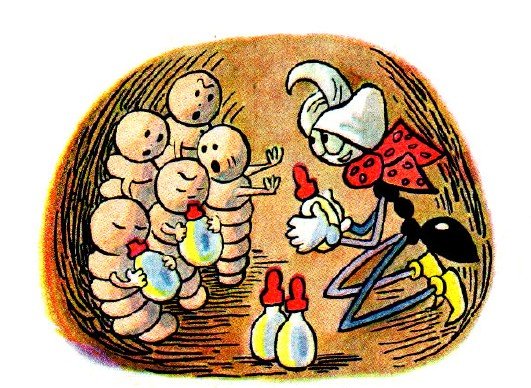 Секора Сара