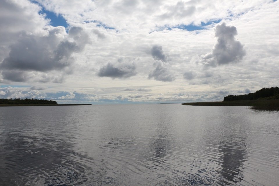 Погода озера воже. Озеро Воже Вологодская область. Остров Спасский озеро Воже. Остров спас на озере Воже. Самое большое озеро в Вологодской области.