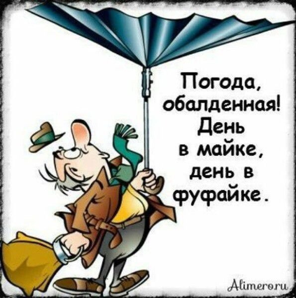 Картинки погода отпад приколы (66 фото)