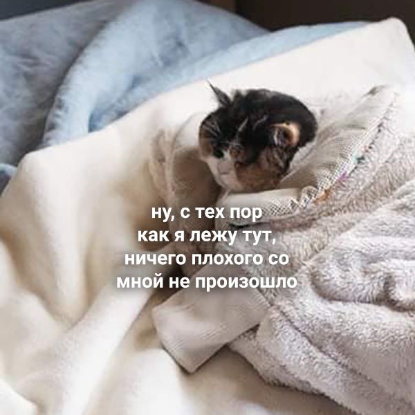 Вылез из под одеяла