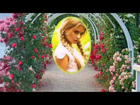 Песня в парке Чаир распускаются розы