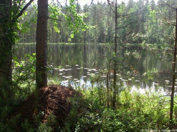 Картинки пустое озеро (68 фото)