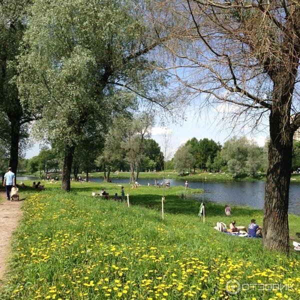Муринский парк в Санкт-Петербурге