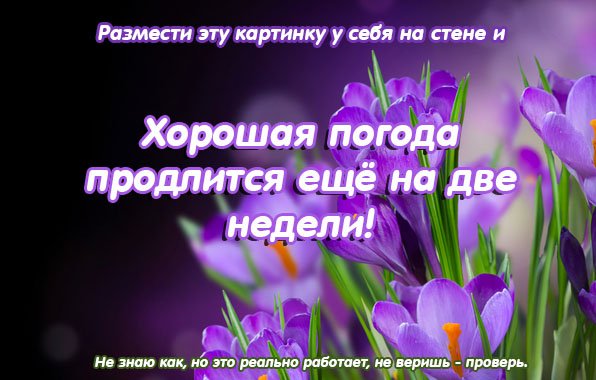 Хорошей погоды картинки с надписями