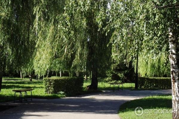 Тамбов парк Победы поле