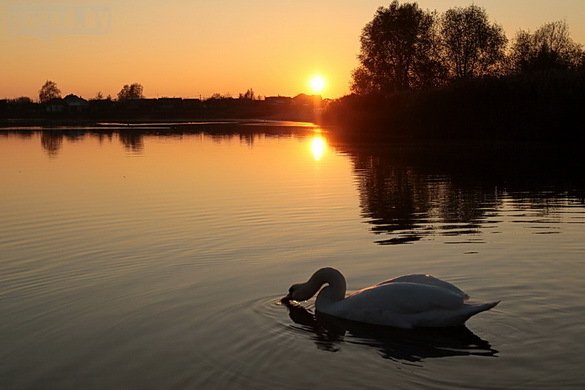 Картинки святое озеро могилев (67 фото)