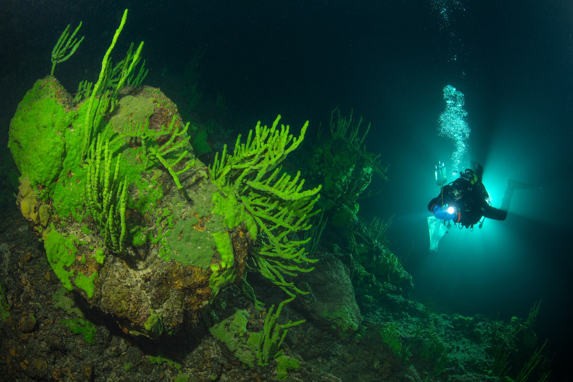 Мир подводной глубине