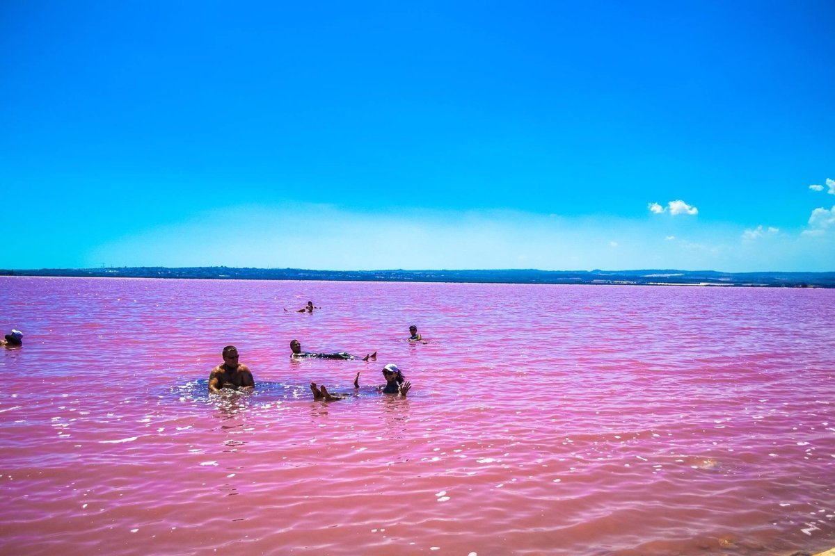 Картинки австралии розового озера (70 фото) » Картинки и статусы про  окружающий мир вокруг