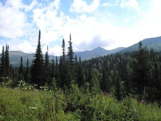 Шорский национальный парк Черневая Тайга