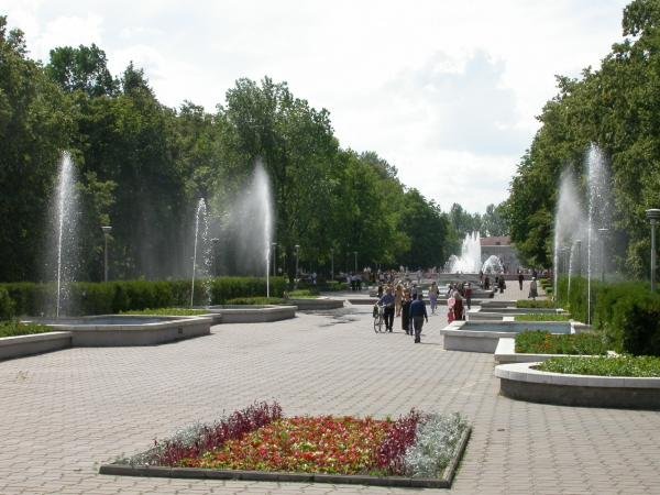 Памятник в городском парке Бобруйск