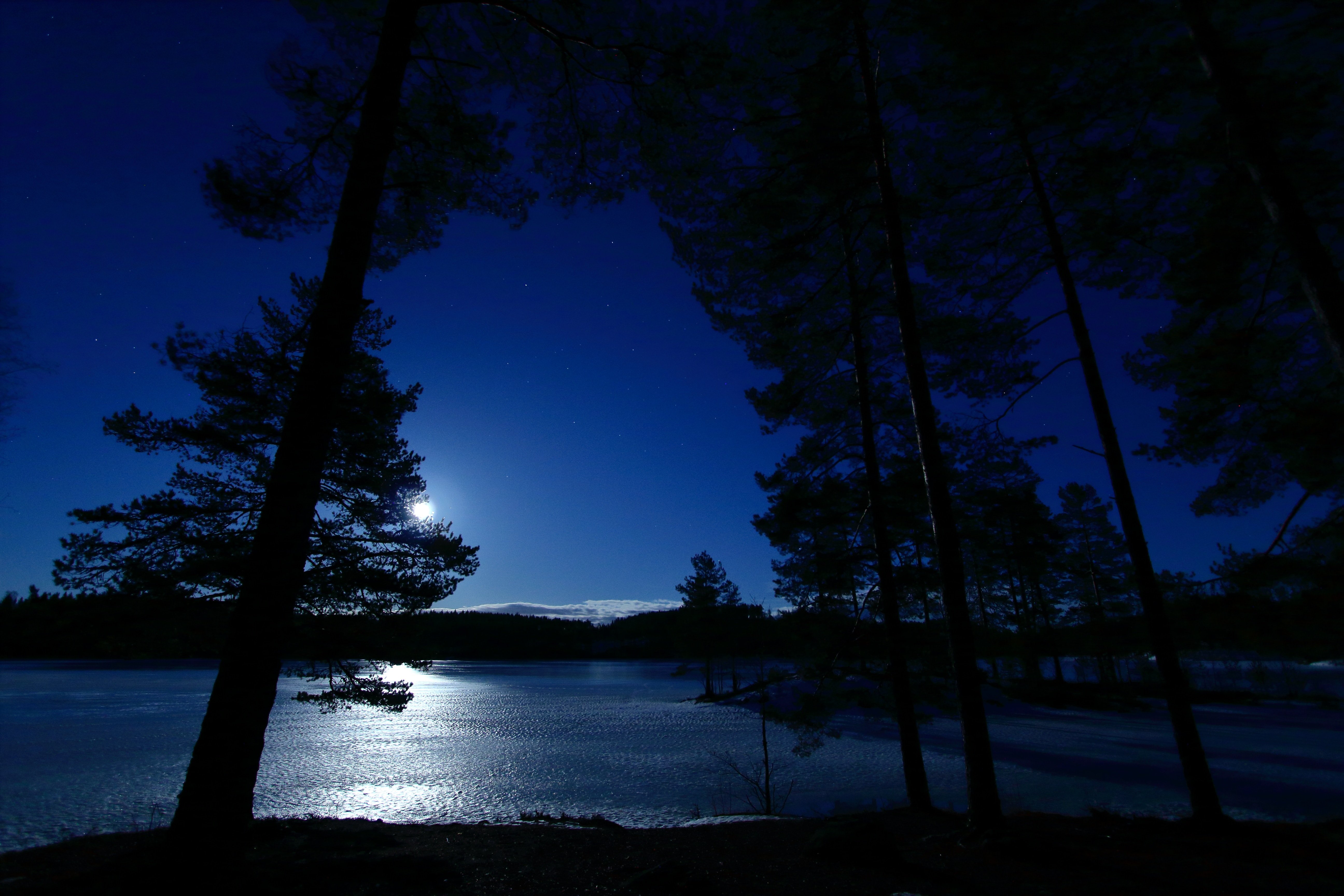 Ночь на берегу озера. Ночное озеро. Озеро ночью. Природа ночью. Берег озера ночью.