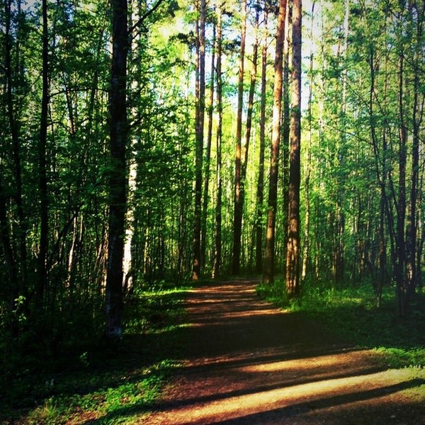 Пискаревский парк СПБ