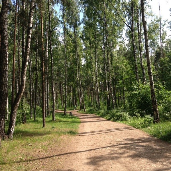 Пискаревский парк СПБ