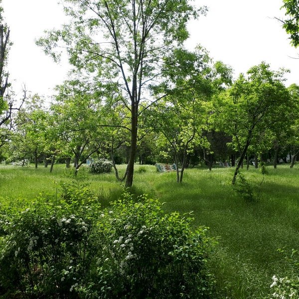 Чкалов парк