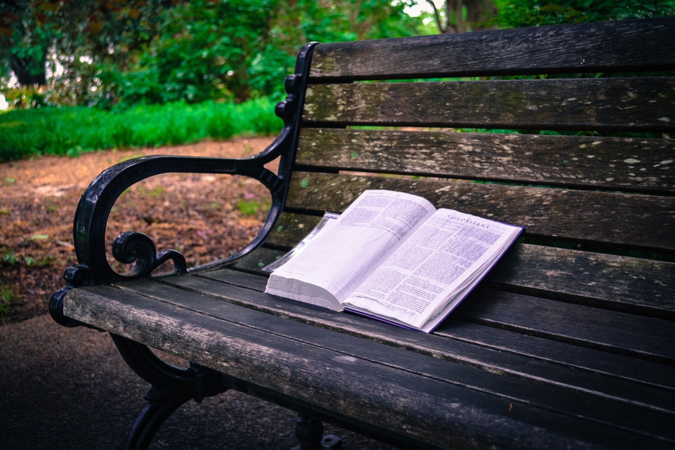 Сказка размышления. Лавочка книжка. Чтение в парке. Чтение на скамейке. Скамейка книга.