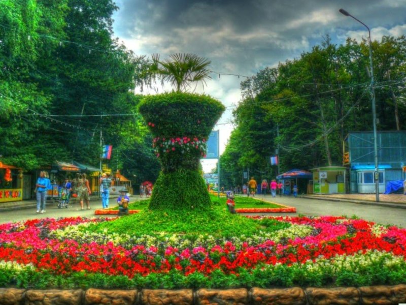 Магия весны: какими цветами можно полюбоваться в ставропольском ботаническом саду