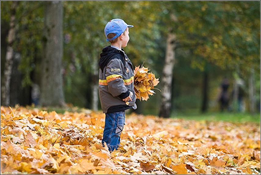 Собрать осенние листья. Осенняя прогулка. Прогулка в осеннем парке. Мальчик осень. Мальчик осенью.