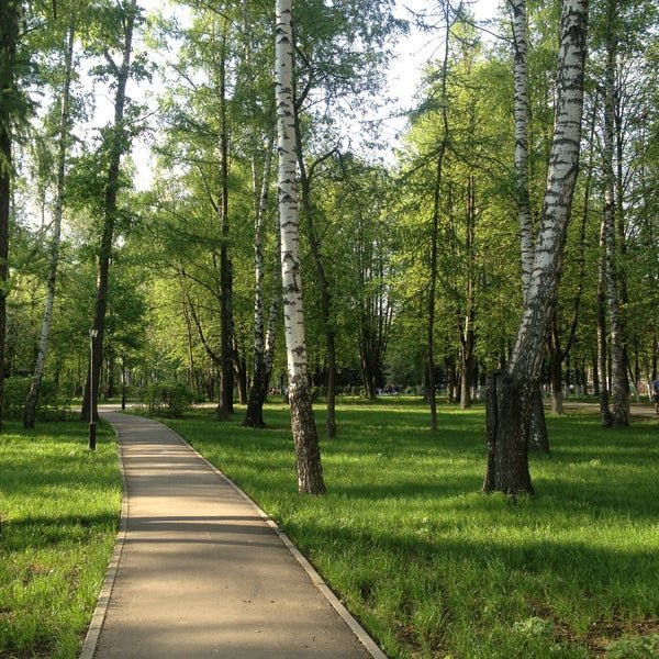 Парк культуры и отдыха Пушкино Московская область