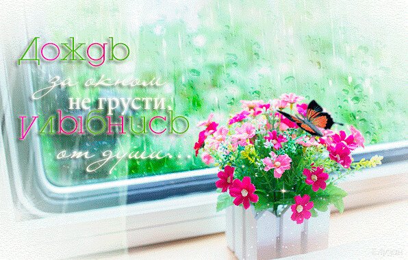 Доброе дождливое утро