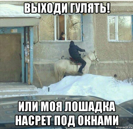 Выходи гулять