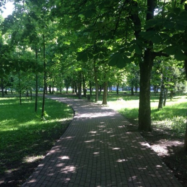 Парк КЗТЗ Курск