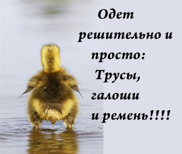 Погода картинки прикольные смешные с надписями